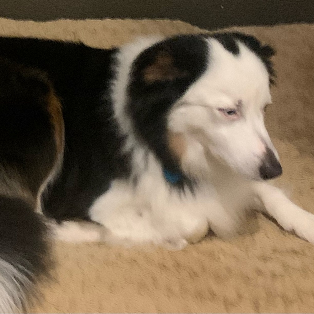 Meet your Posher, Mariela